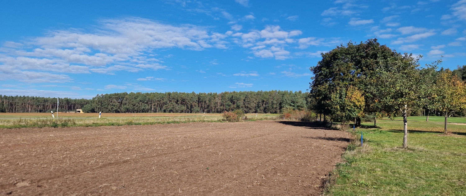 2000 m² neu angelegte Blühwiese 2000 m² neu angelegte Blühwiese