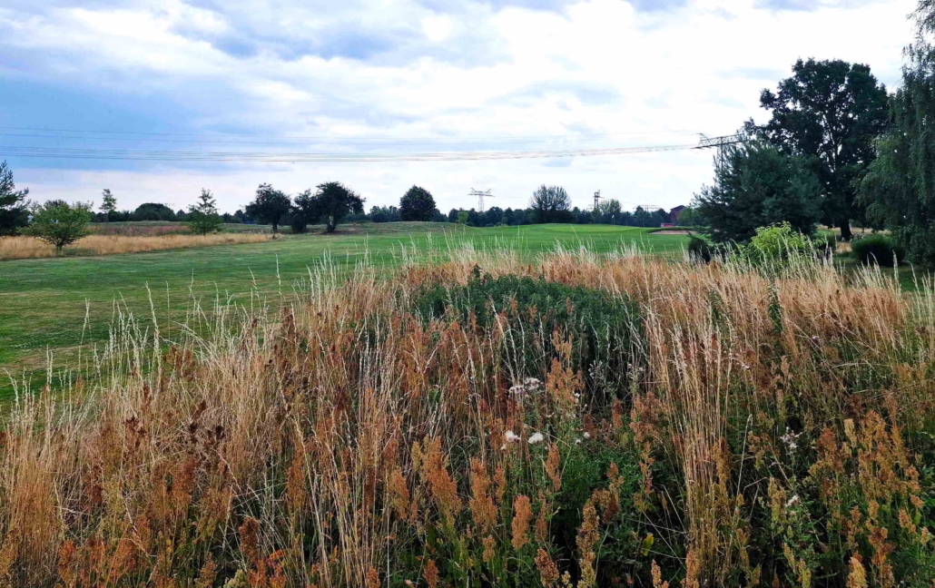 Golf Range Großbeeren rough islands photo Petra Himmel small