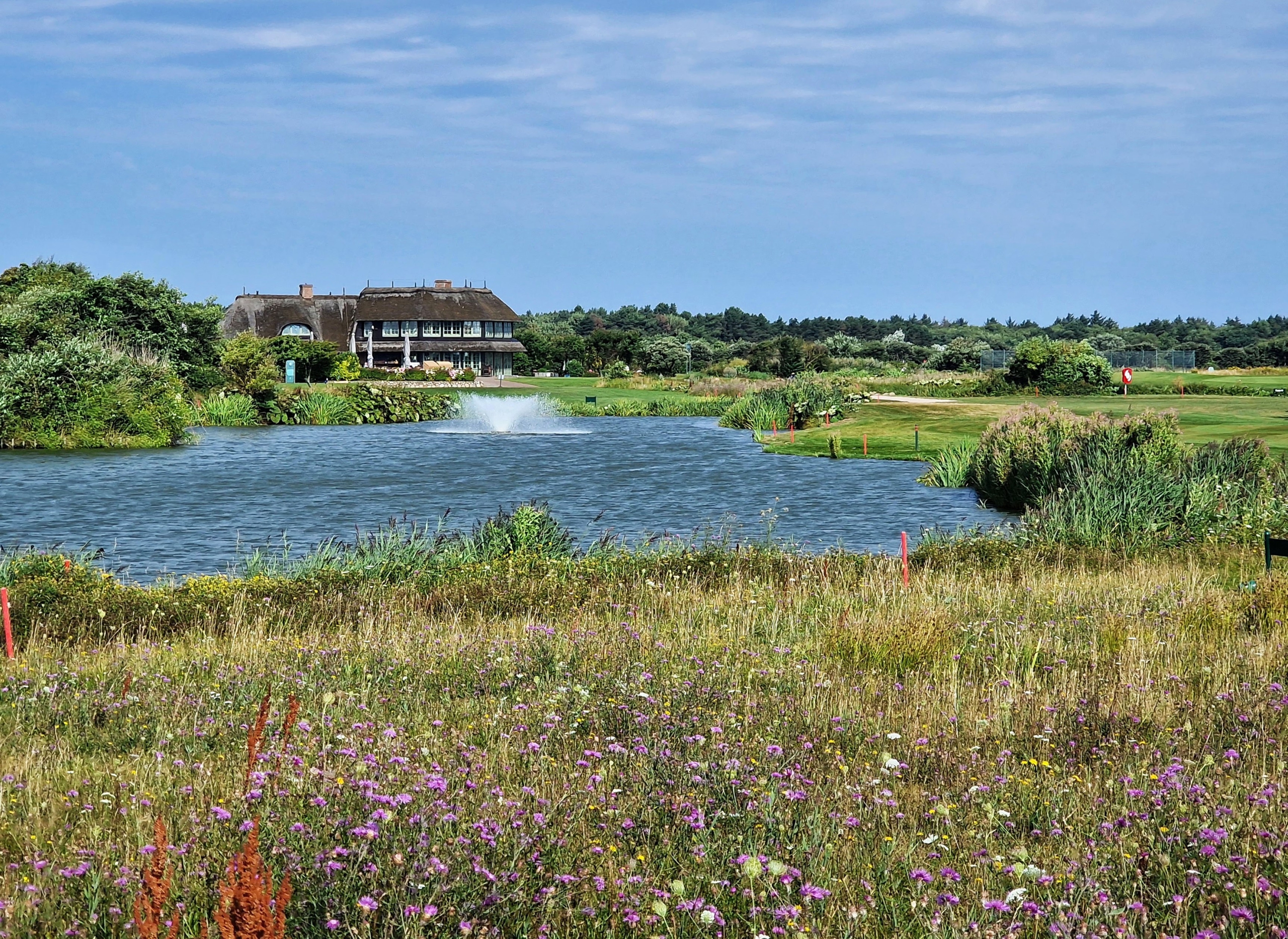 GC Sylt artenreiche Wiese und Clubhaus GC Sylt artenreiche Wiese und Clubhaus